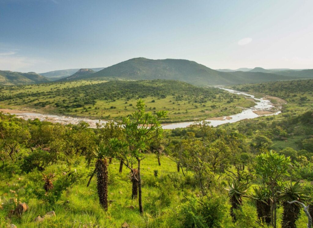 babanango's lesser known little five