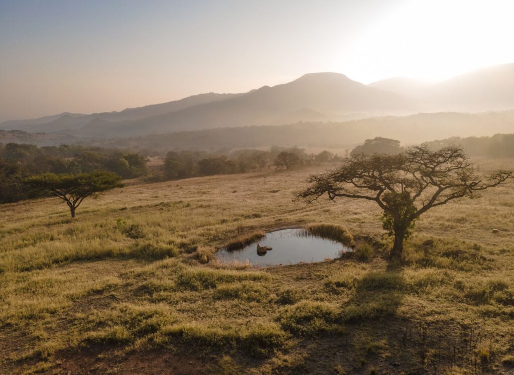 holiday ideas from the beach to the bush in kzn